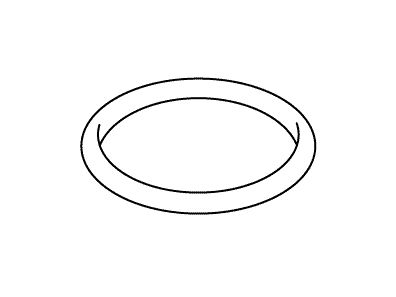 KOHLER K-56875 O-Ring