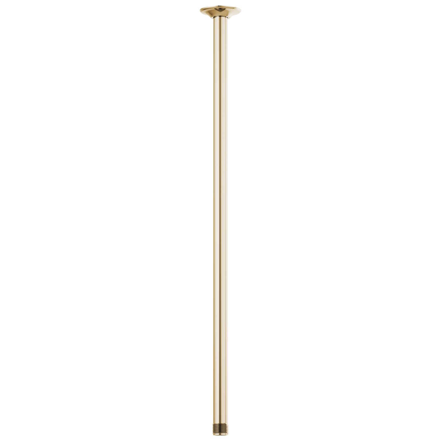 Brizo Essential Shower 83992 24" Ceiling Mount Shower Arm And Round Flange
