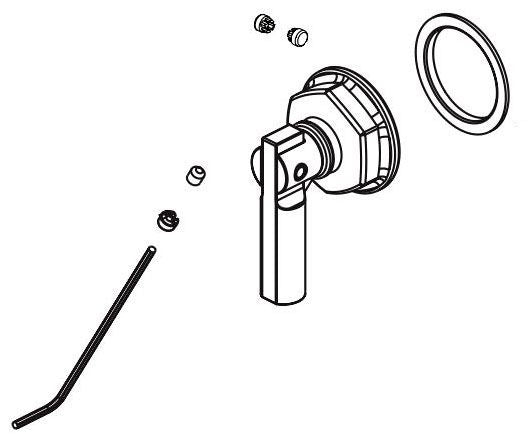 Brizo Invari RP101159GL Slide Bar Shower Arm Handle Assembly
