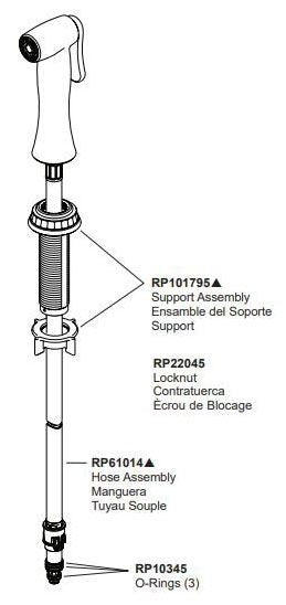 Brizo Tulham RP101794PN Side Spray & Hose Assembly