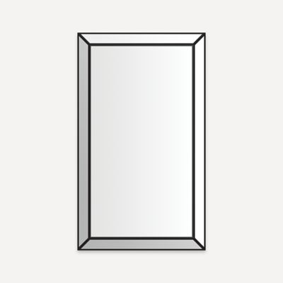 Robern Murray Hill Mirror, 24" x 41" x 1-11/16"
