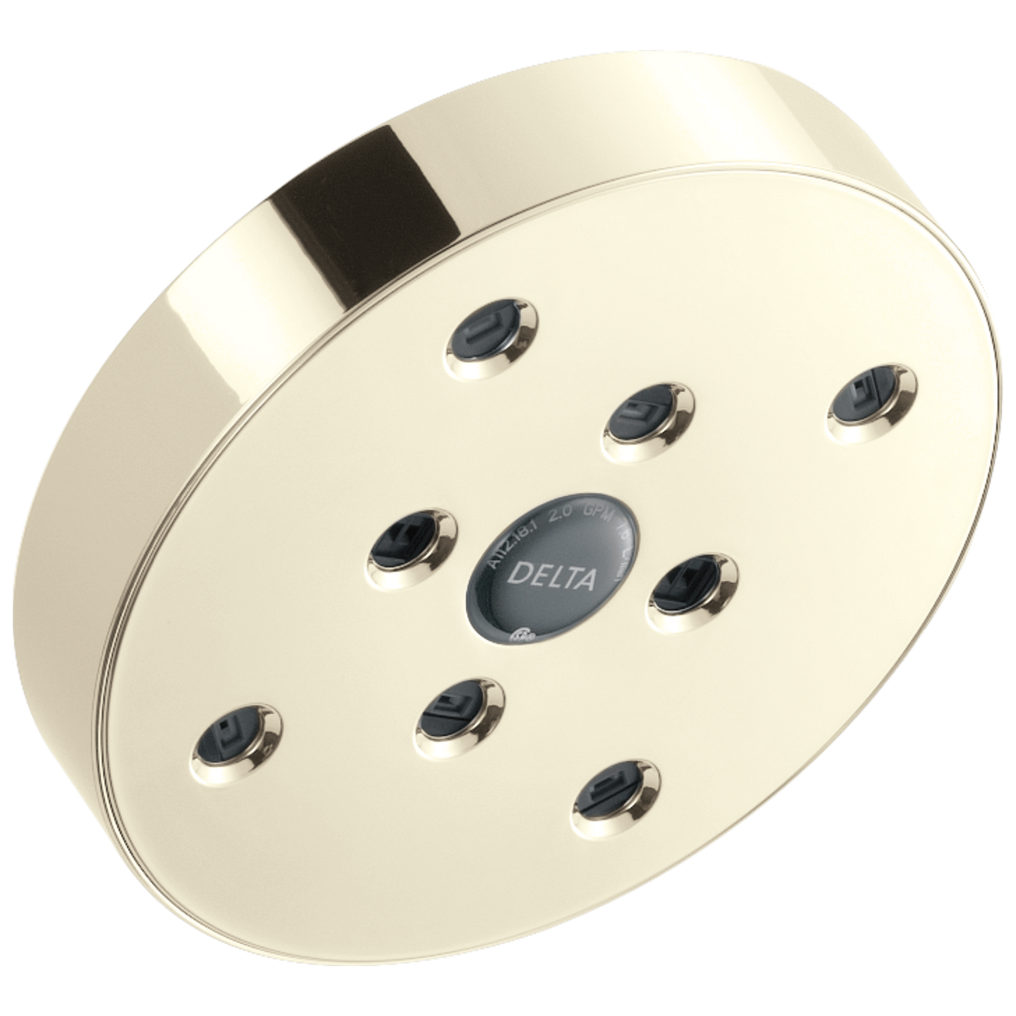 H2OKINETIC Single-Setting Raincan Shower Head