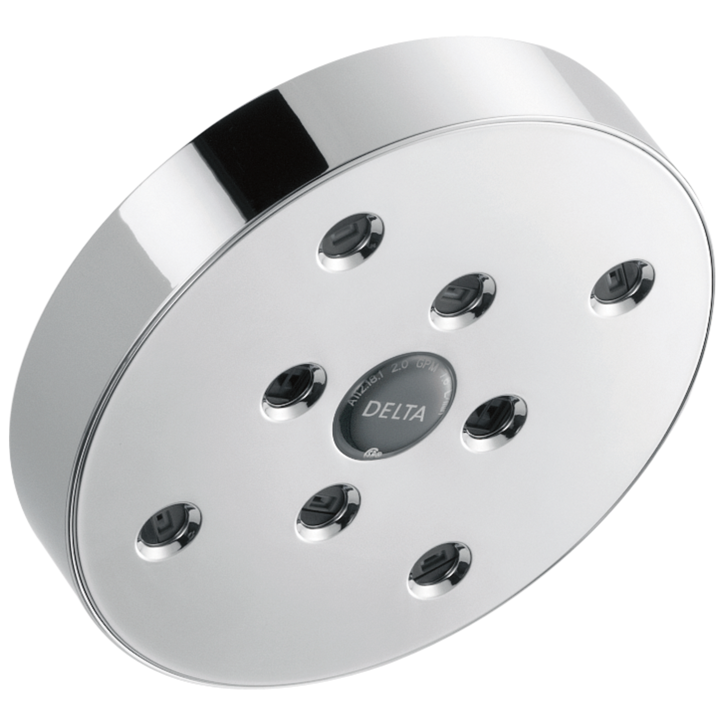 Delta Universal Showering Components RP70175 H2OKINETIC Single-Setting Raincan Shower Head