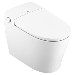 Moen Bidet Faucet