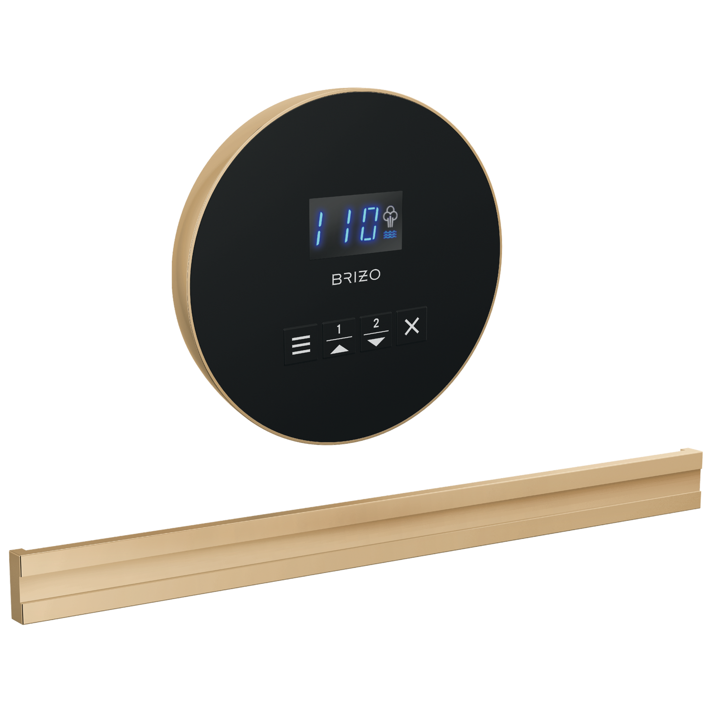 Brizo : Round + Bilateral Steam Set