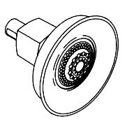 KOHLER K-1049313-AF Showerhead Assembly