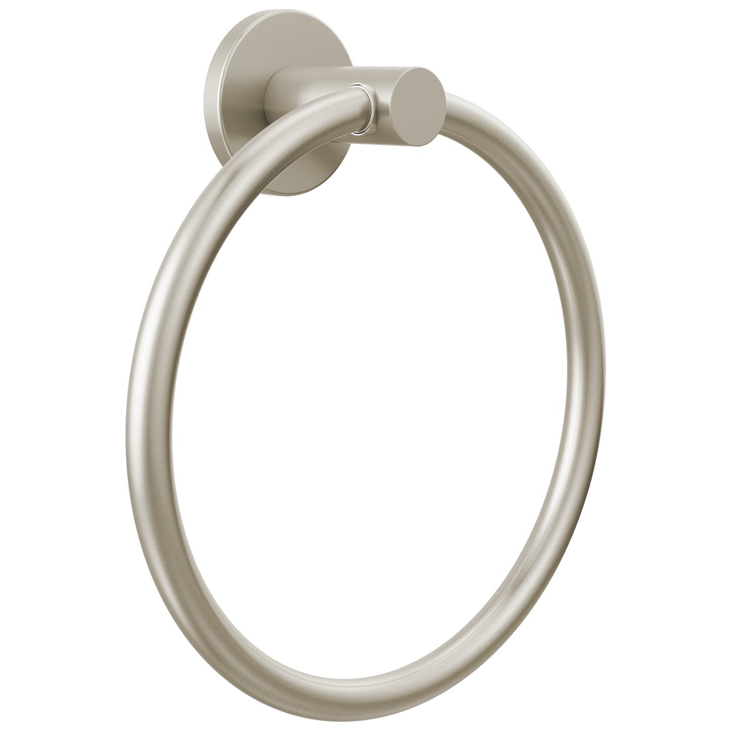 Peerless Precept: Towel ring