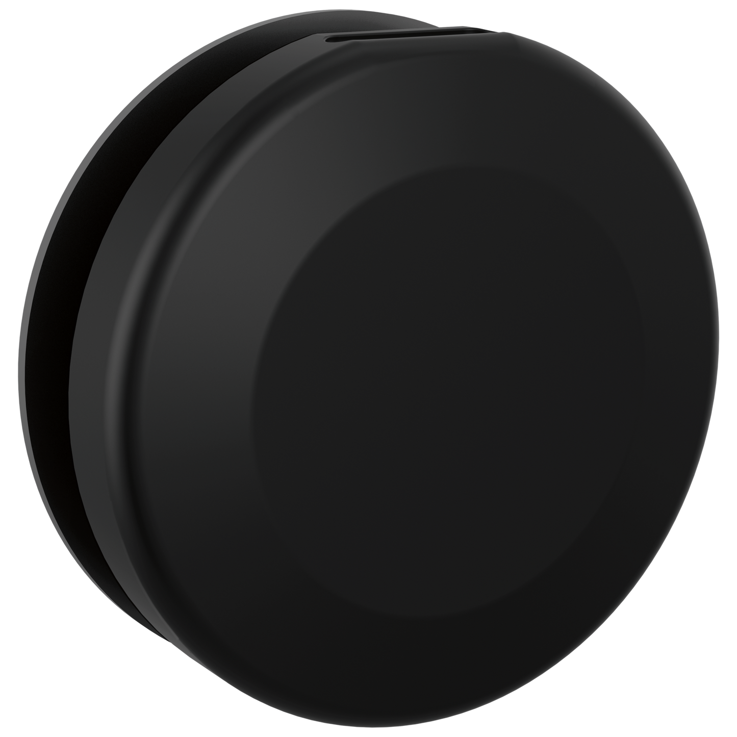 Delta Universal Showering Components: Round Steam Head