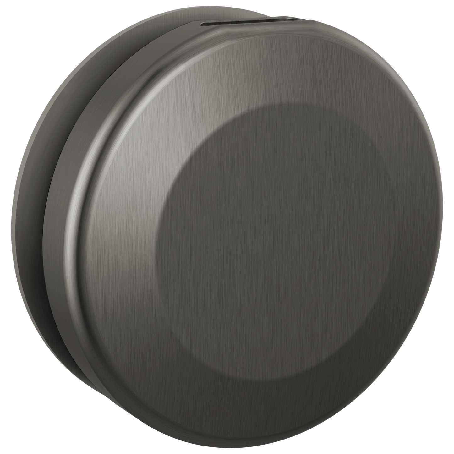 Delta Universal Showering Components: Round Steam Head