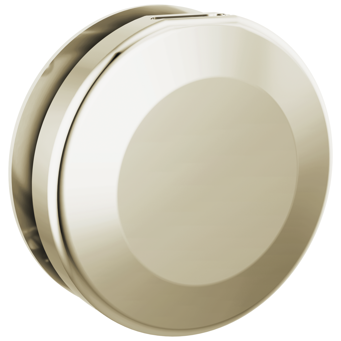 Delta Universal Showering Components: Round Steam Head