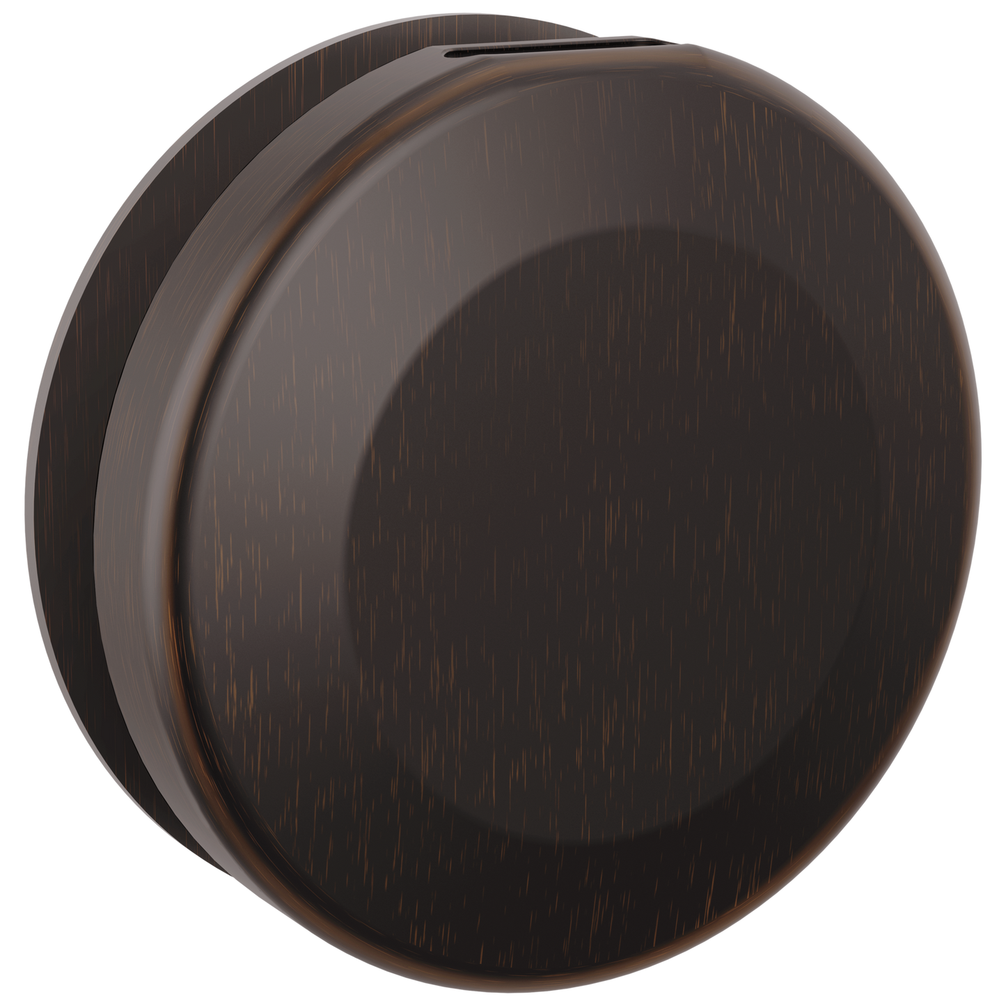 Delta Universal Showering Components: Round Steam Head