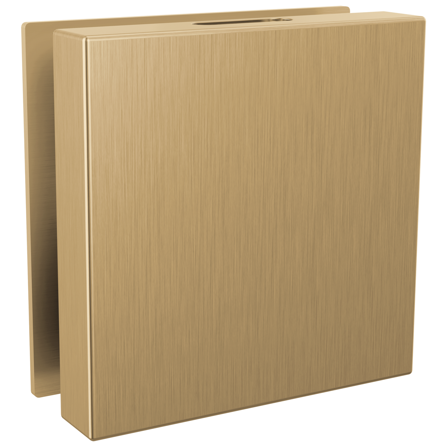 Delta Universal Showering Components: Contemporary Square Steam Head