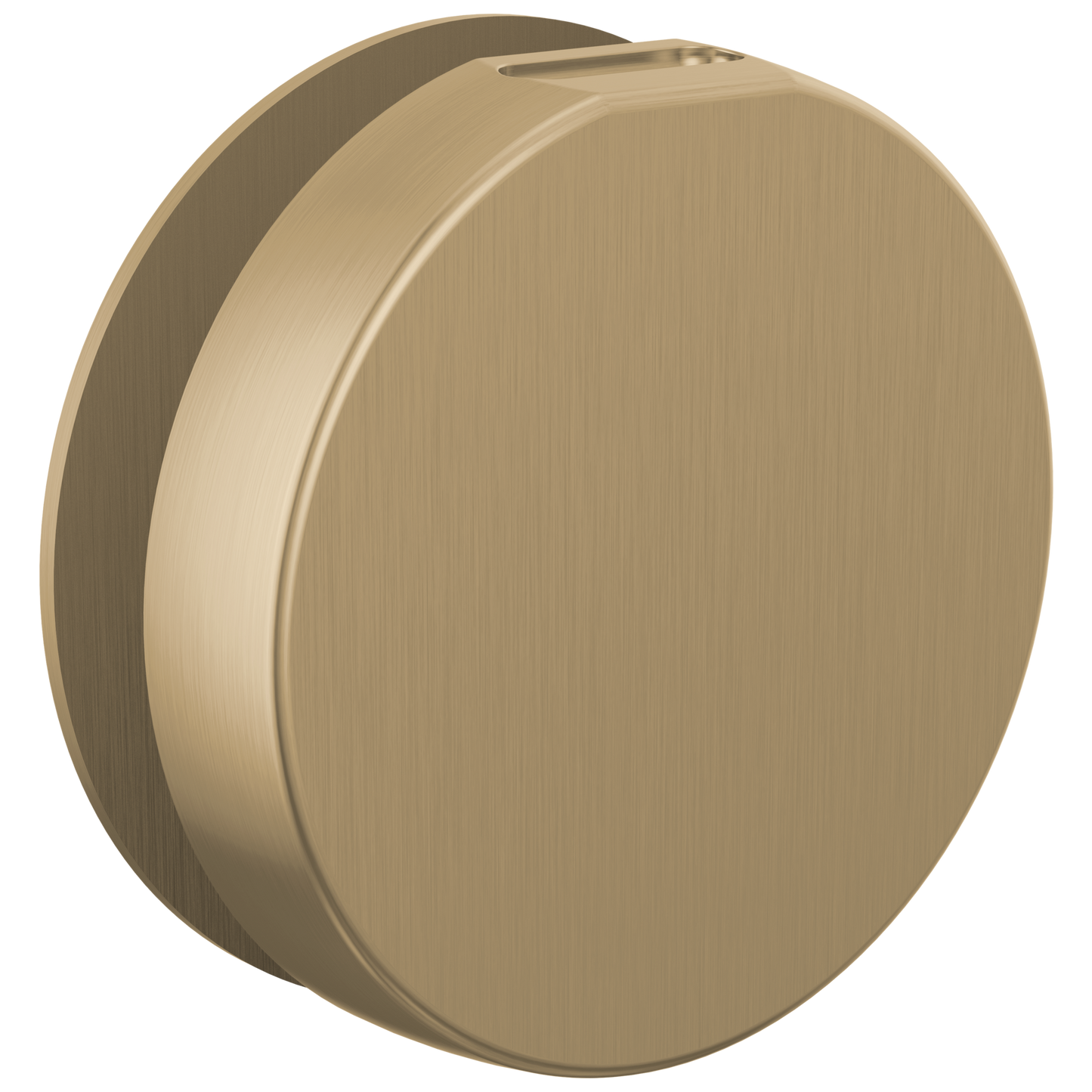 Brizo : Mystix Round Steam Head