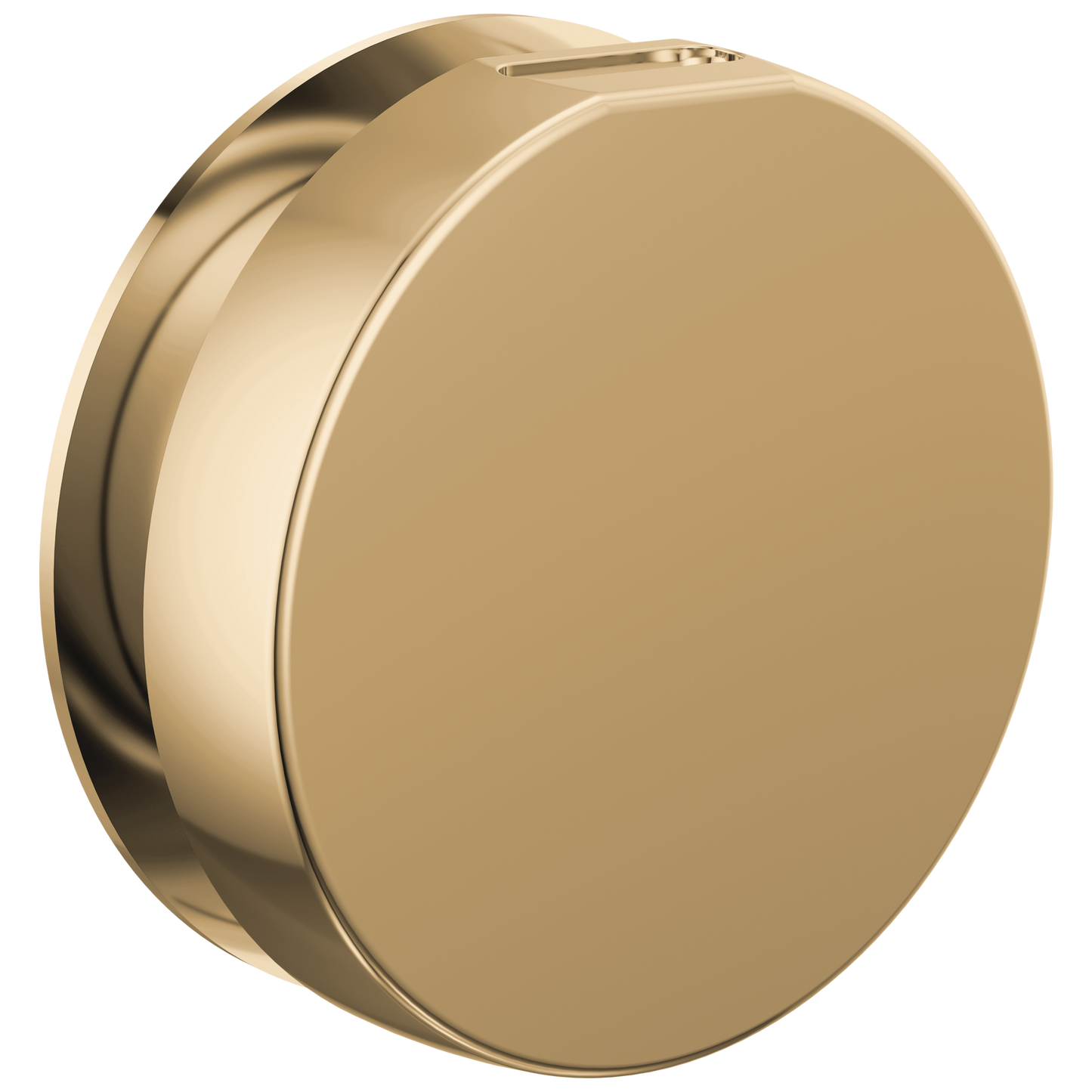Brizo : Mystix Round Steam Head
