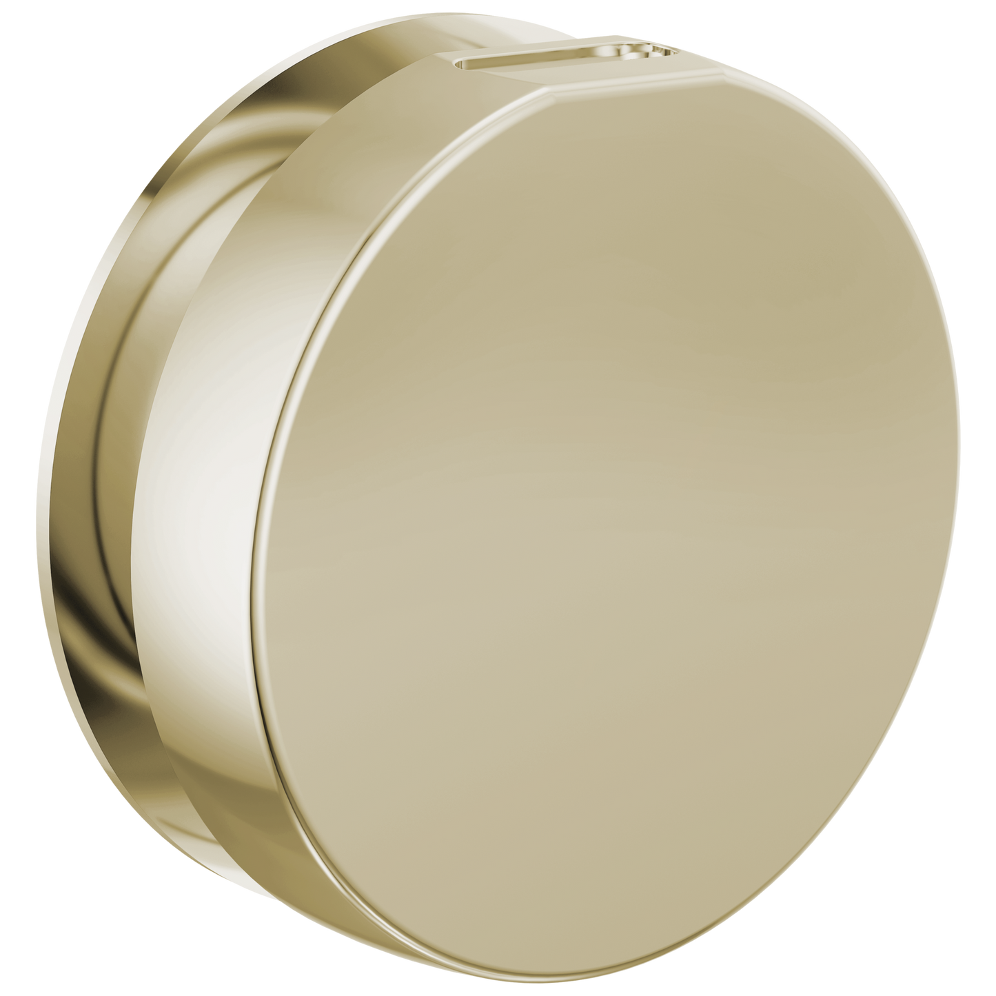 Brizo : Mystix Round Steam Head