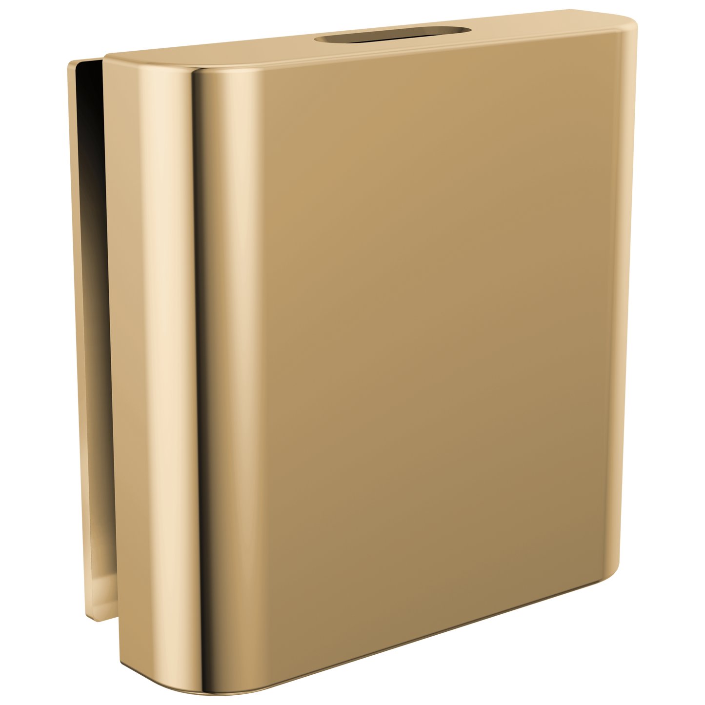 Brizo : Mystix Classic Square Steam Head