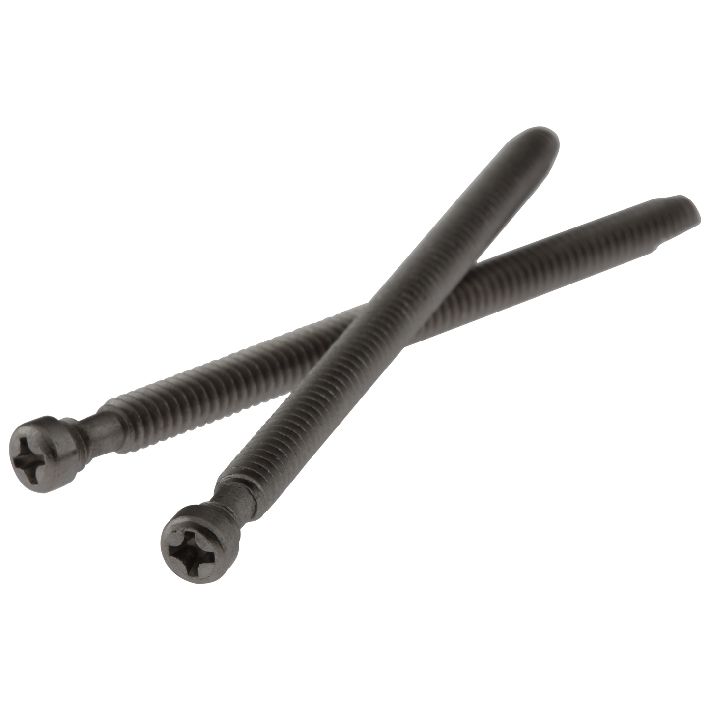Delta RP20184 2 Retention Screws