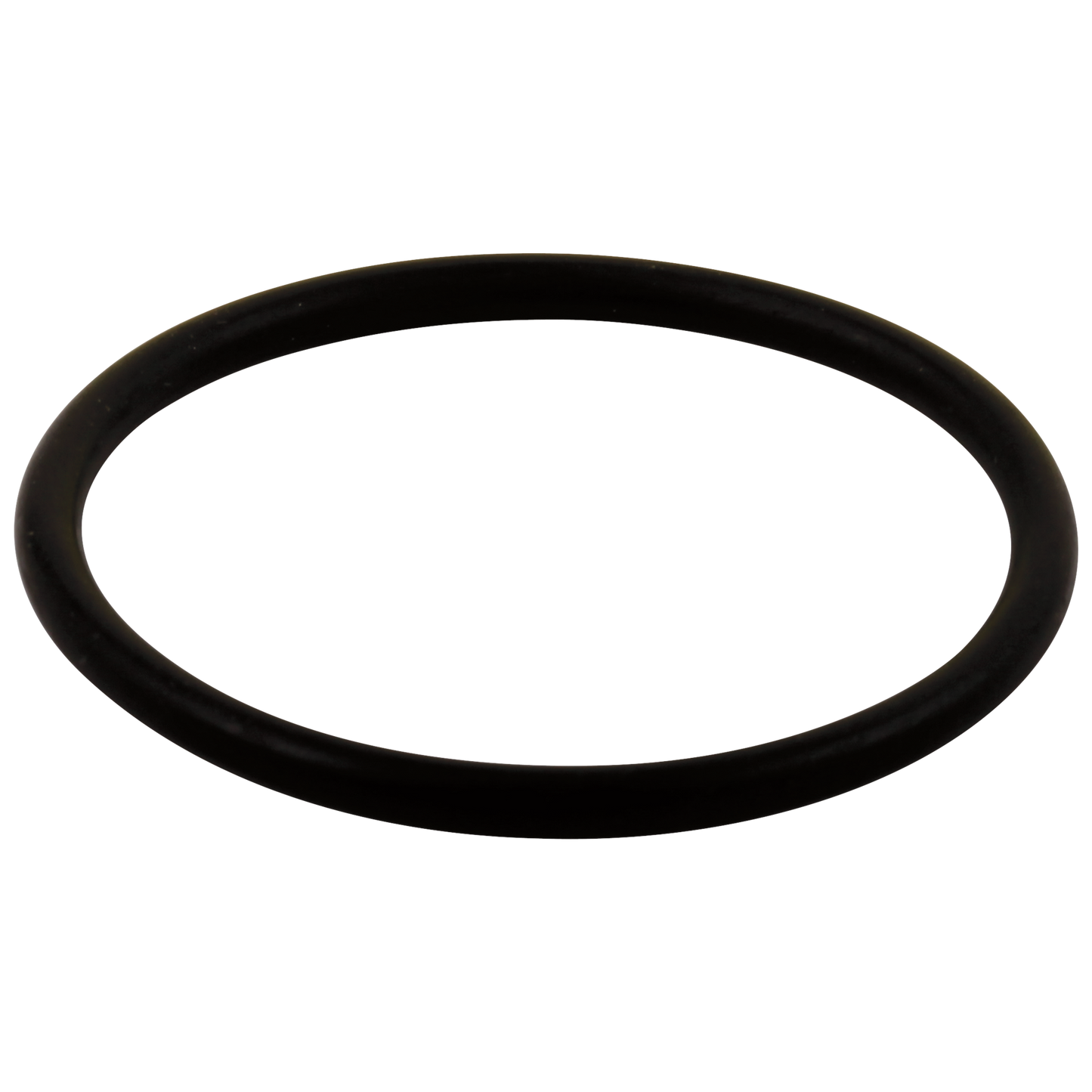 Delta RP23336 O-Ring - Large - All Monitor Series