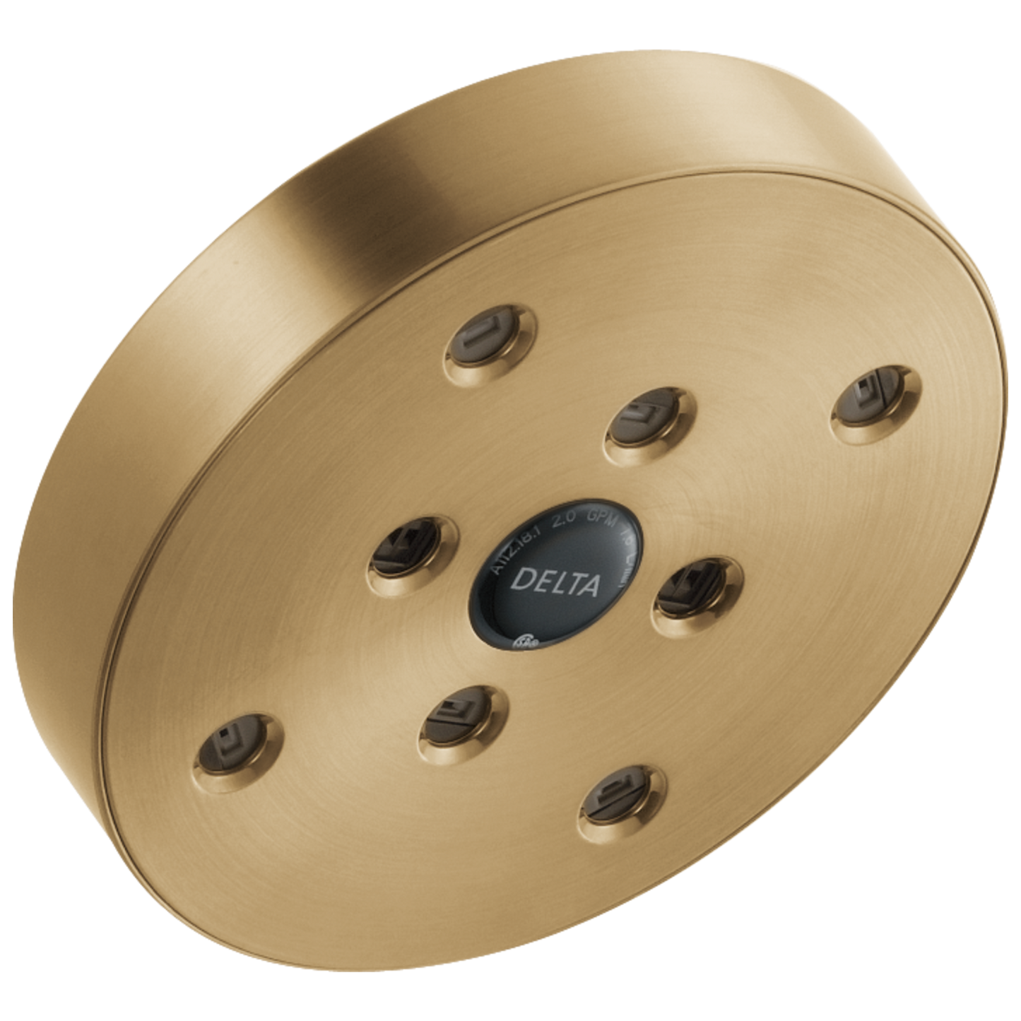 Delta Universal Showering Components: H2Okinetic Single-Setting Raincan Shower Head