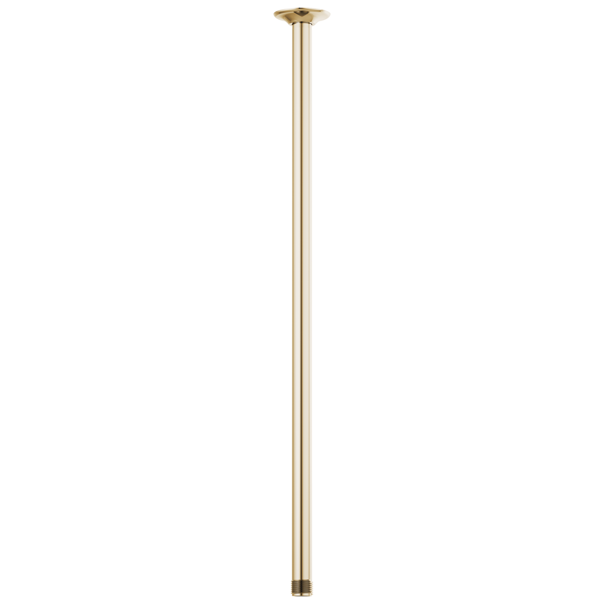Brizo Essential Shower 83992 24" Ceiling Mount Shower Arm And Round Flange