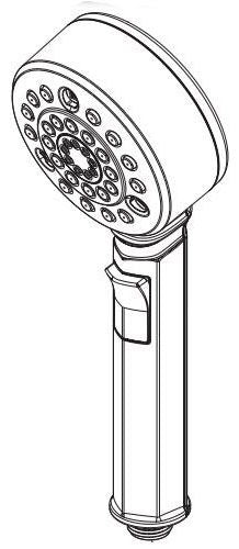 Brizo Levoir RP100436BNX Multifunction Handshower