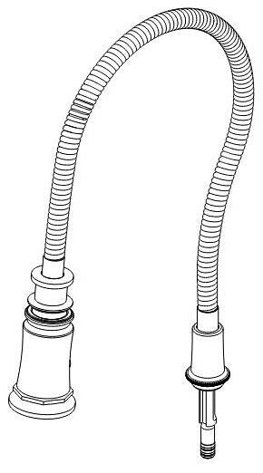 Brizo Rook RP100572GL Finished Hose & Sprayer Assembly