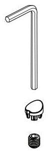 Brizo Allaria RP102055GL Set Screw and Button Cover