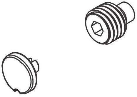 Brizo Litze RP90417PN Set Screw and Button