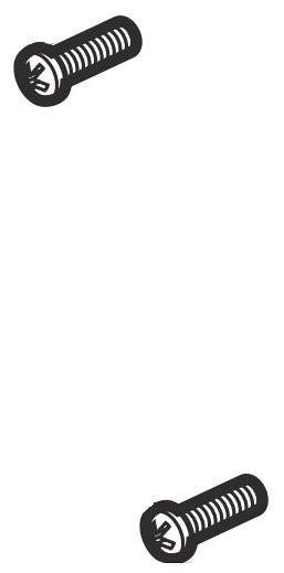 Brizo Vettis RP92476 Trim Screws