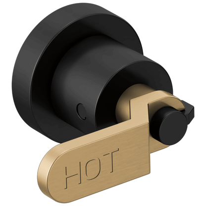Two-Handle Wall Mount Tub Filler Handle Kit - Industrial Lever