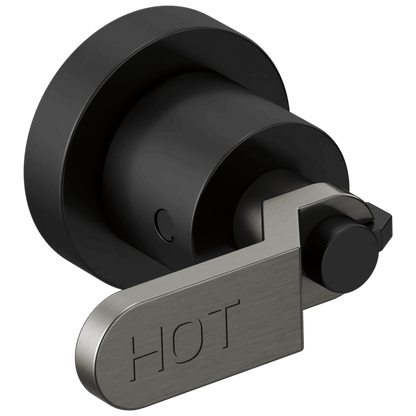 Two-Handle Wall Mount Tub Filler Handle Kit - Industrial Lever