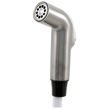 Delta Collins Spray, Hose and Diverter Assembly