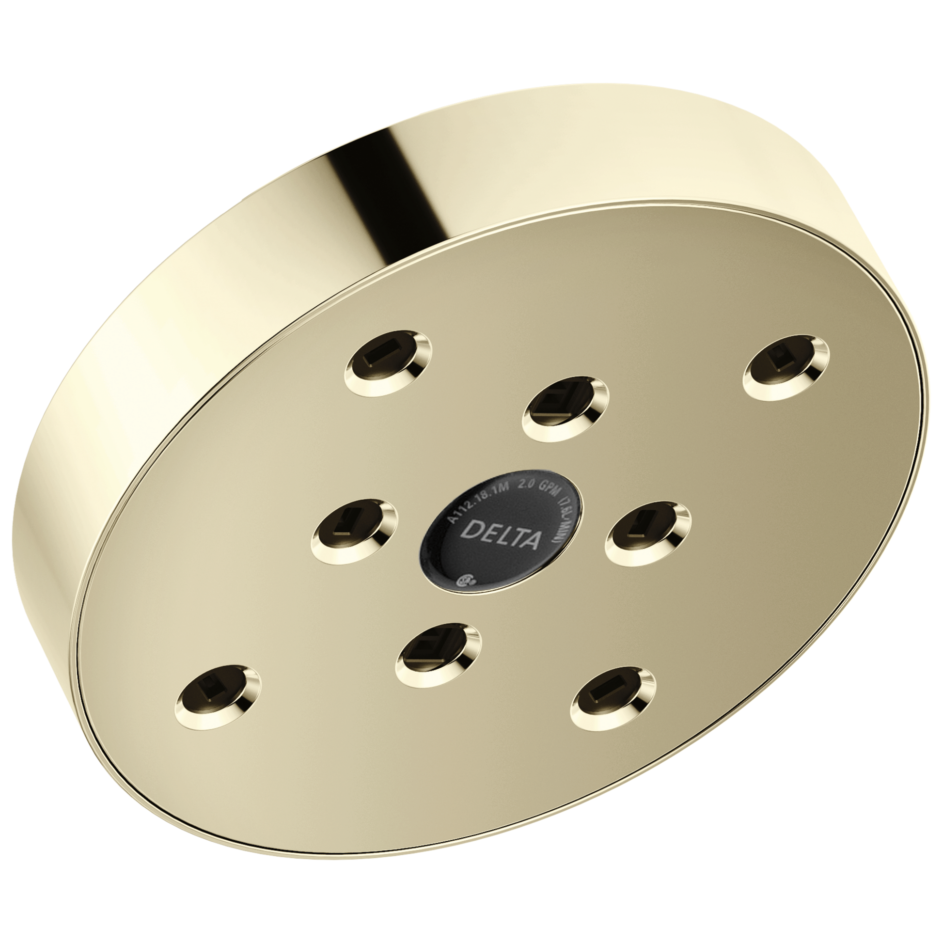H2OKINETIC Single-Setting Raincan Shower Head