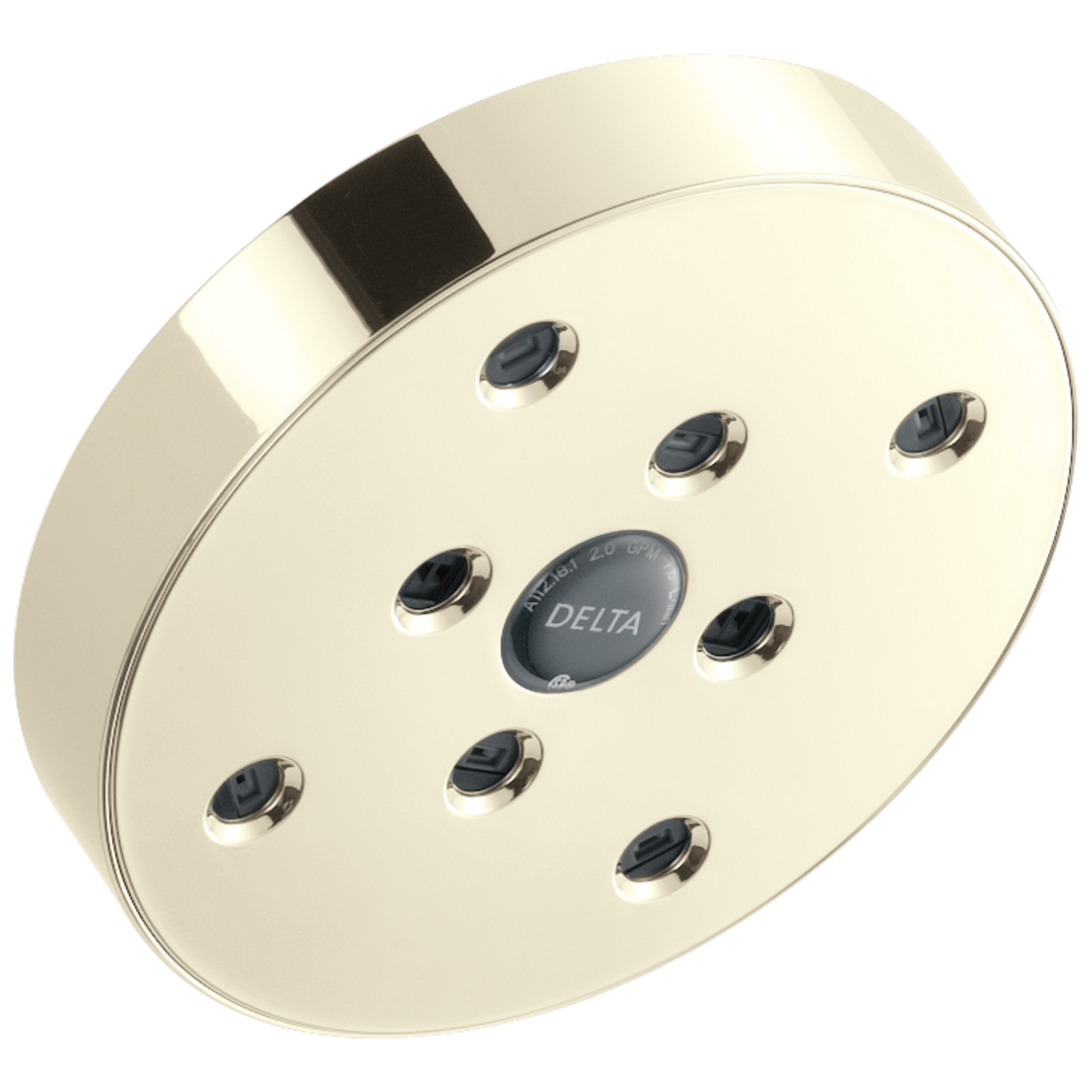 H2OKINETIC Single-Setting Raincan Shower Head
