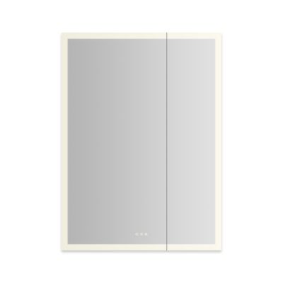 Robern AiO Reserve Cabinet, 36" x 48" x 4", Perimeter Lit, TUN Lighting, Warm White (2700K) to Cool White (5600K), Dimmable, Interior Lighting, Electrical Outlets, USB Charging Ports
