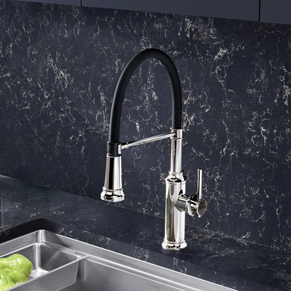 Chrome - BLANCO Empressa Semi-Pro Pull-Down Dual-Spray Kitchen Faucet