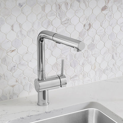 Chrome - BLANCO Linus Low Arc Pull-Out Dual-Spray Kitchen Faucet