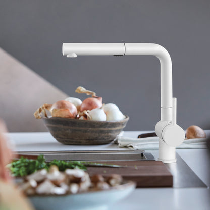 White - BLANCO Linus Low Arc Pull-Out Dual-Spray Kitchen Faucet