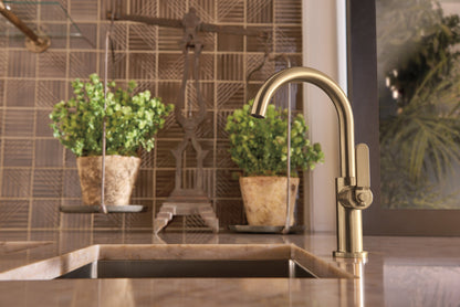 Brizo Litze 61044LF Bar Faucet with Arc Spout and Industrial Handle Kit