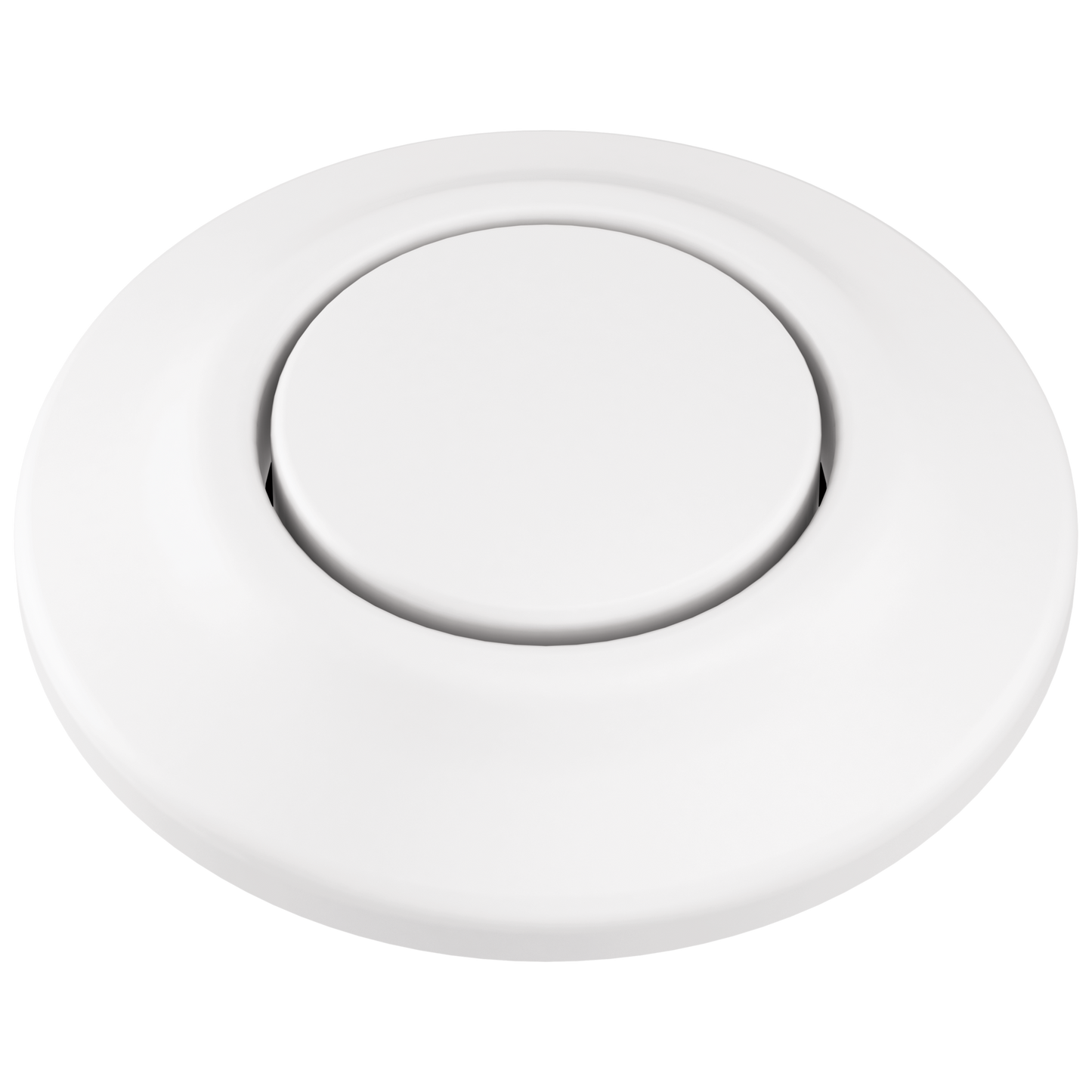 Brizo No Brand Other 69080 Air Switch with Dual Outlet
