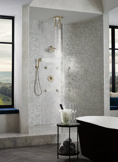 Brizo Litze 88835 Wall Mount Handshower with H2OKINETIC Technology