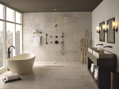 Brizo Jason Wu for Brizo 88875 Wall-Mount Hand Shower