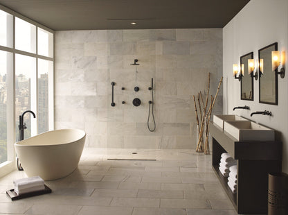 Brizo Jason Wu for Brizo 88875 Wall-Mount Hand Shower