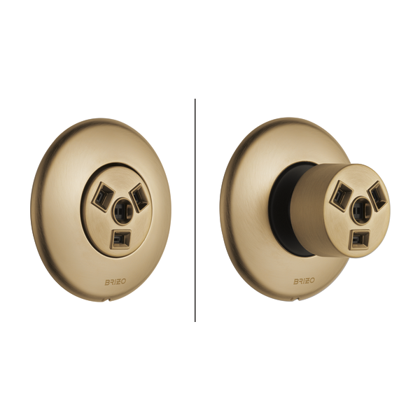 Brizo Essential Shower T84613 Hydrachoice Max Round Body Spray Trim