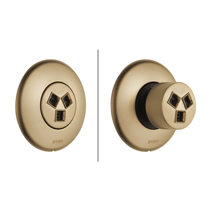 Brizo Essential Shower T84613 Hydrachoice Max Round Body Spray Trim