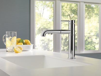 Delta Trinsic 4159 Single Handle Pull-Out Kitchen Faucet