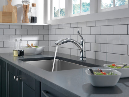 Delta Linden 4353 Single Handle Pull-Out Kitchen Faucet