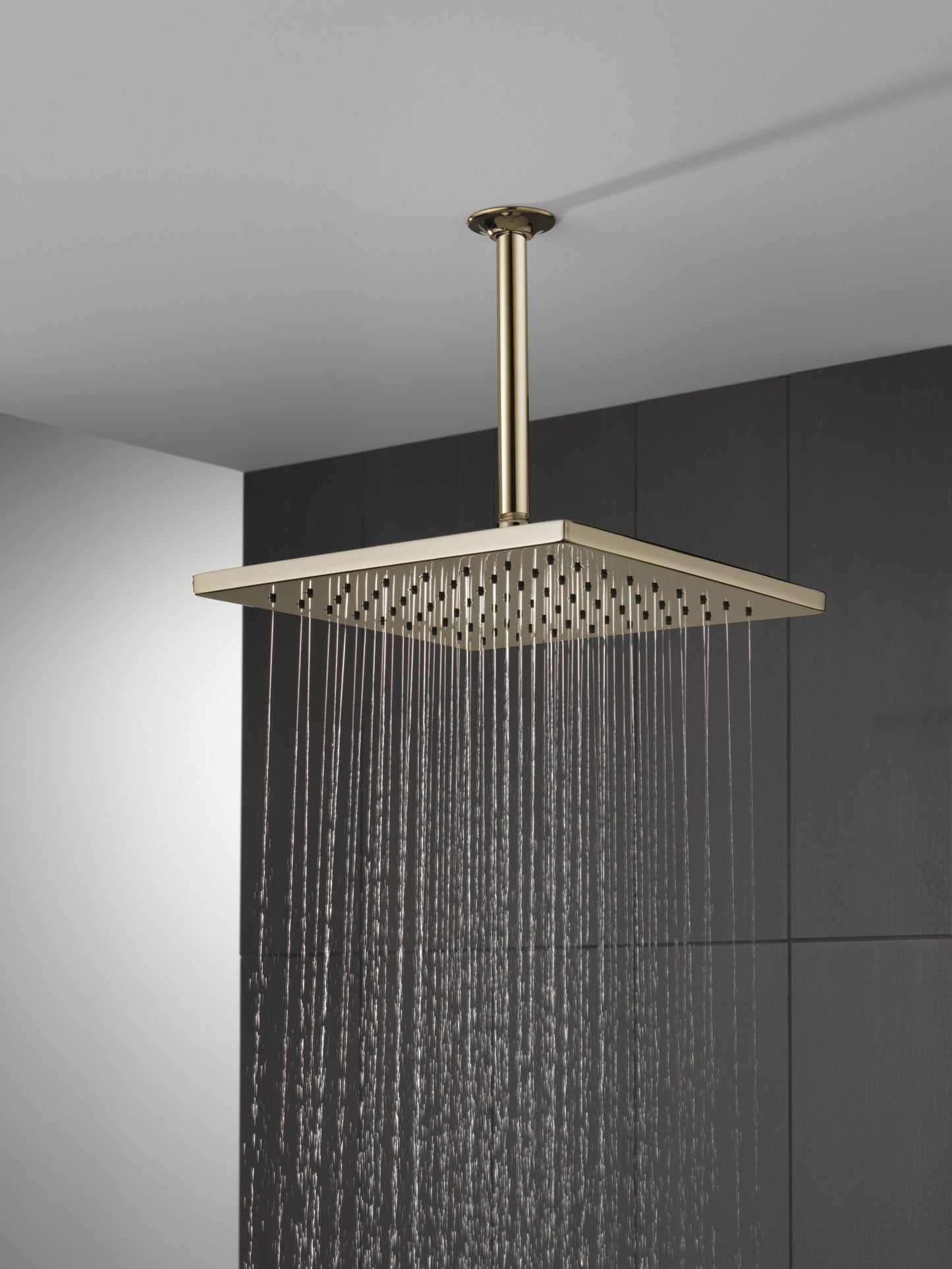 Delta Universal Showering Components 52159 Single-Setting Metal Raincan Shower Head