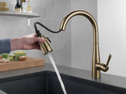 Delta Essa 9113 Single Handle Pull-Down Kitchen Faucet