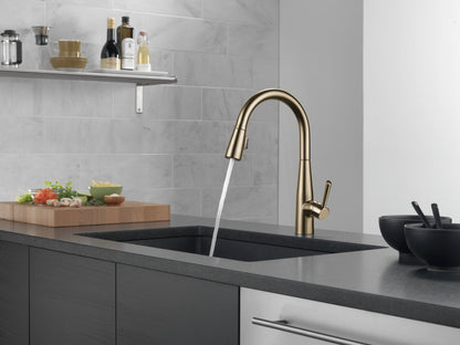 Delta Essa 9113 Single Handle Pull-Down Kitchen Faucet